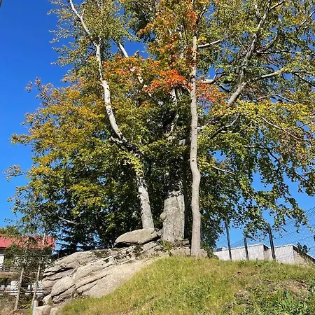 Delux 2 * Шклярська Поремба