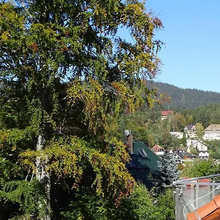 Delux 2 Шклярська Поремба