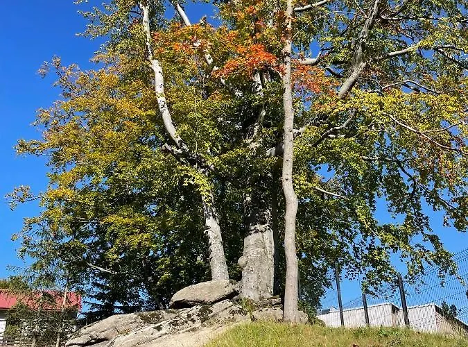 Delux 2 * Szklarska Poręba